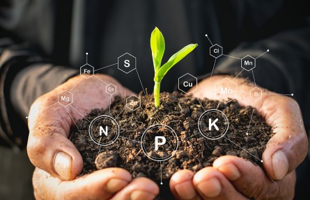 科技名詞 | 土壤改良  soil amelioration，soil improvement