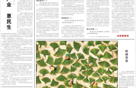 加快培育現(xiàn)代農業(yè)“領頭雁”