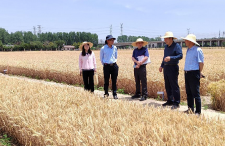 審計(jì)糧食安全，端牢中國(guó)“飯碗”