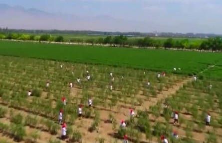 2022年上半年鞏固脫貧成果接續(xù)鄉(xiāng)村振興新進(jìn)展：促進(jìn)東西部協(xié)作幫扶 鞏固拓展脫貧成果