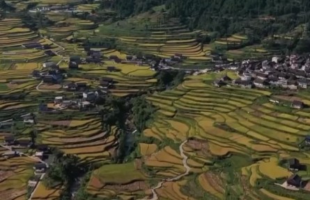 2022年上半年鞏固脫貧成果接續(xù)鄉(xiāng)村振興新進(jìn)展：通過(guò)產(chǎn)業(yè)就業(yè)幫扶 增加脫貧戶(hù)收入