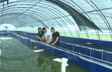 黑龍江：水蛭“落戶(hù)”江川農(nóng)場(chǎng) 助力職工增收