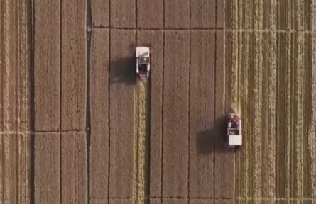 河南大部地區(qū)小麥平均畝產500公斤以上