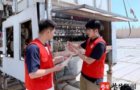 效率提高20倍！南京林業(yè)大學(xué)學(xué)子發(fā)明智能分揀系統(tǒng)，助力新疆長(zhǎng)絨棉豐產(chǎn)增收