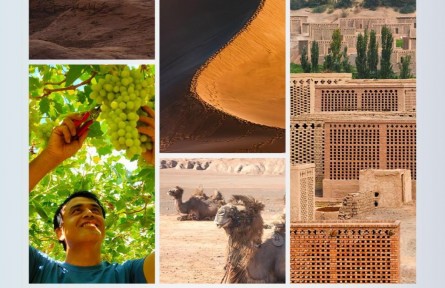 時(shí)政新聞眼|習(xí)近平考察吐魯番，關(guān)注了哪些獨(dú)特之處？