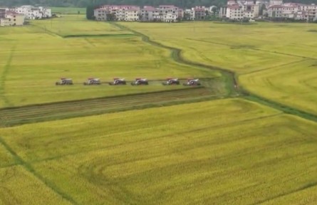 【在希望的田野上】全國早稻收獲過半 進(jìn)展總體順利