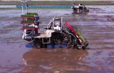 黑龍江：無人農(nóng)場 上演自動插秧作業(yè)