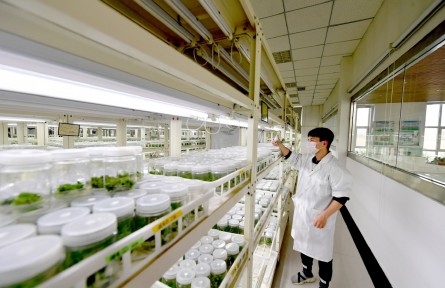 于家務(wù)國(guó)際種業(yè)科技園區(qū)產(chǎn)業(yè)規(guī)劃及“種十條”發(fā)布 北京城市副中心打造種業(yè)“高精尖”