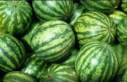 二十四節(jié)氣｜大暑時節(jié)，“瓜王”手把手教您挑西瓜！