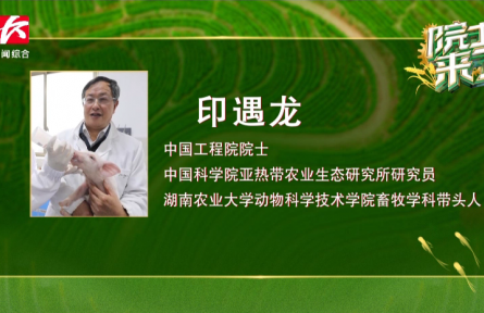 “養(yǎng)豬院士”印遇龍：用科技幫助農(nóng)民“養(yǎng)好豬、好養(yǎng)豬”
