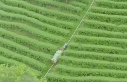 廣西：特色生產全程機械化助力鄉(xiāng)村振興