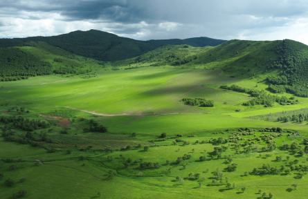 鑒賞 | 東坡  [宋]蘇軾