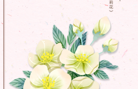 物種故事 | 茉莉花：風露扶疏蔓翠藤，玉花剪刻見層層