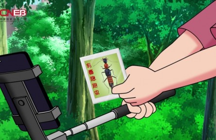 隱翅蟲落在皮膚上，切勿拍打