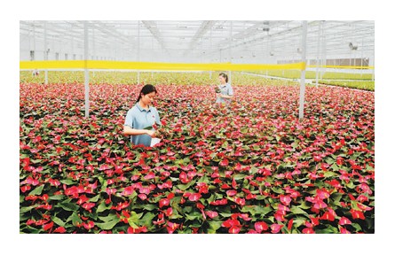 數(shù)字鄉(xiāng)村建設讓農(nóng)民更幸福