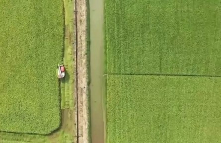 夏收夏種進(jìn)行時(shí) 顆粒歸倉(cāng)迎豐收