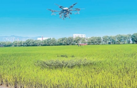 北京：無人機(jī)飛防作業(yè)首用4項綠色新技術(shù)