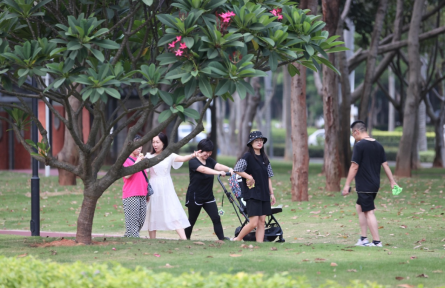 口袋公園 pocket parks