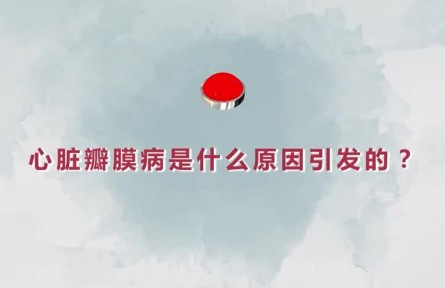 健康問答 | 心臟瓣膜病是什么原因引發(fā)的？如何精準(zhǔn)治療？
