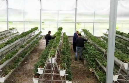 廣東：“造血型”產業(yè)援藏 推動林芝高質量發(fā)展