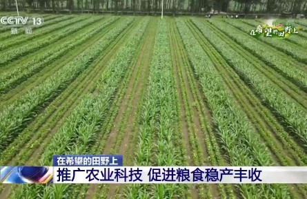 數(shù)字信息采集、肥水一體化自動灌溉……這些智慧農(nóng)業(yè)設(shè)施幫助農(nóng)民抗旱保豐收