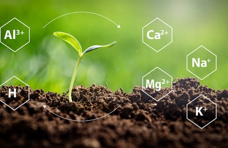 科技名詞 | 陽離子交換量    cation exchange capacity，CEC