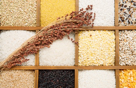 ?辟謠 | 粗糧就是“全谷物”？要看是否經(jīng)過精細(xì)化加工