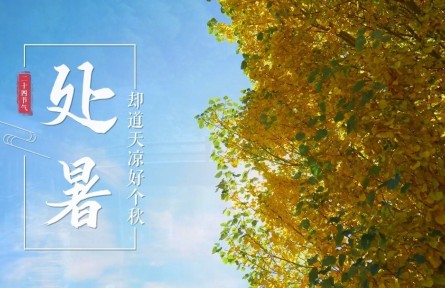 處暑，卻道天涼好個秋