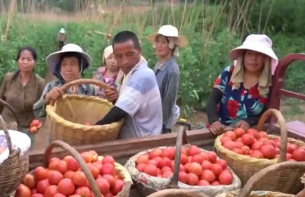 陜西：“土特產(chǎn)”變“搶手貨” 電商推動(dòng)鄉(xiāng)村振興大有可為