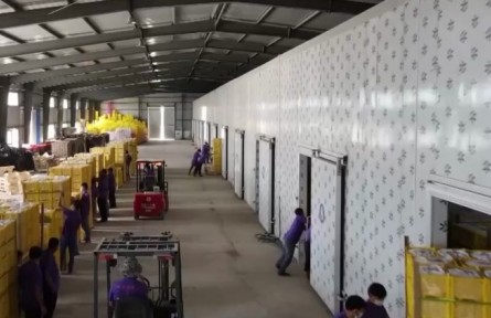 關注農產品產地冷藏保鮮設施建設 成為鞏固拓展脫貧攻堅成果有力抓手