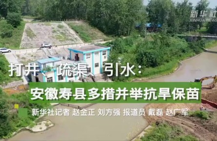 打井、疏渠、引水：安徽壽縣多措并舉抗旱保苗