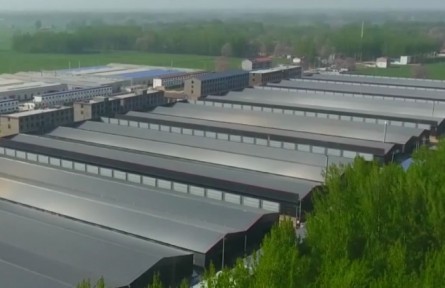 河南：構建農業(yè)全產業(yè)鏈 打造現(xiàn)代鄉(xiāng)村產業(yè)體系