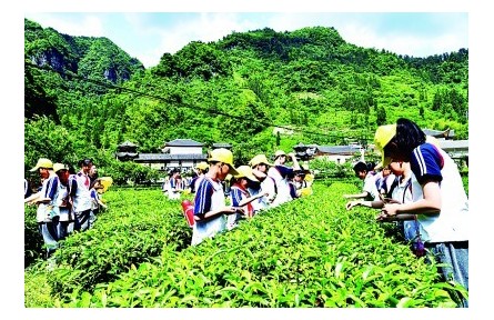 “耕”以強體，“讀”以潤心——我國耕讀教育開展情況調(diào)研報告