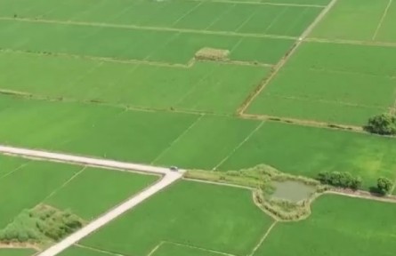 精準施策 力促秋糧穩(wěn)產(chǎn)豐收