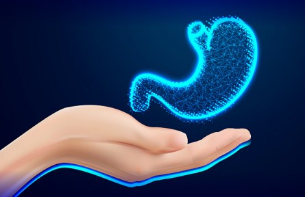 胃越撐越大、越餓越小是真的嗎？