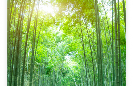 名言 | 孔子：君子不以言舉人，不以人廢言