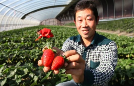 山東省威海市環(huán)翠區(qū)：加速打造特色鄉(xiāng)村振興樣板片區(qū)