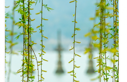 名言 | 荀子：善學(xué)者盡其理，善行者究其難