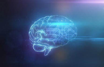 科技名詞 | 獎(jiǎng)勵(lì)系統(tǒng)