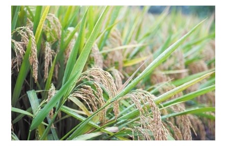 基礎(chǔ)研究：激發(fā)創(chuàng)新不竭動力