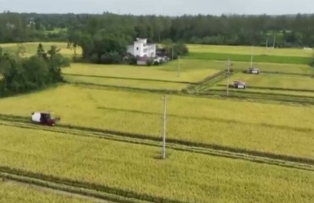 【在希望的田野上】全國(guó)秋糧收獲近兩成