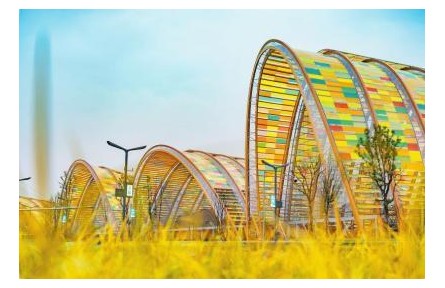 豐收節(jié)，來了！