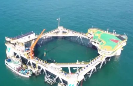 我國多地“海上糧倉”迎來豐收 海上養(yǎng)殖更趨智能化