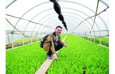 果蔬育種師：陪果蔬一起成長的青春，甜甜的