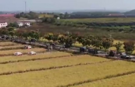 【在希望的田野上】我國(guó)秋糧大面積開(kāi)鐮收獲