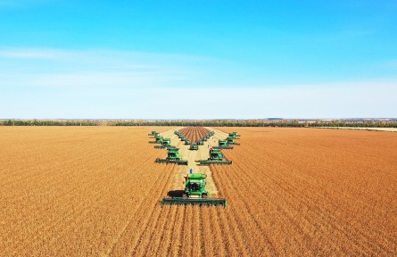 北大荒集團(tuán)1380余萬(wàn)畝大豆迎豐收