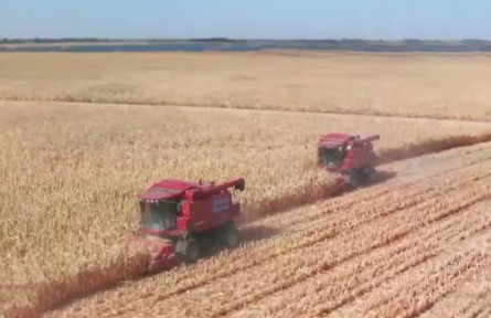 內(nèi)蒙古河套灌區(qū)秋收進入收尾階段 確保顆粒歸倉