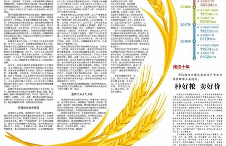 加速品牌化建設，推動糧食產業(yè)高質量發(fā)展