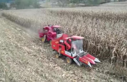 陜西宜君：科技助力 41萬(wàn)畝玉米喜獲豐收