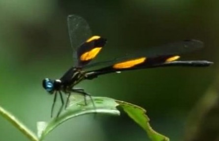 《秘境尋蹤》第三季第十二集：水源